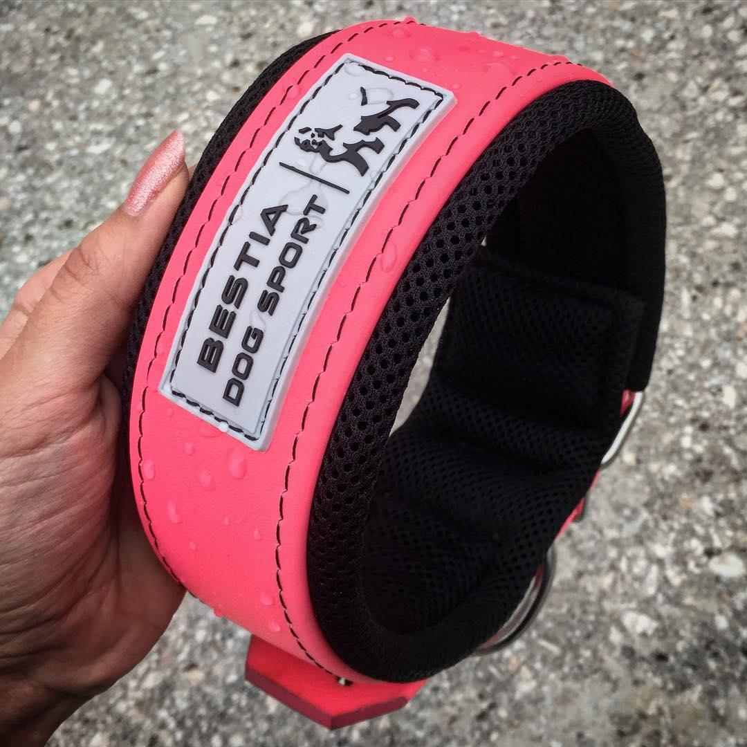 COLLAR NEON PINK